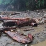 Longsor di jalur Trans Ampana–Poso menutup badan jalan di Kabupaten Tojo Una-una