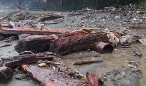 Longsor di jalur Trans Ampana–Poso menutup badan jalan di Kabupaten Tojo Una-una