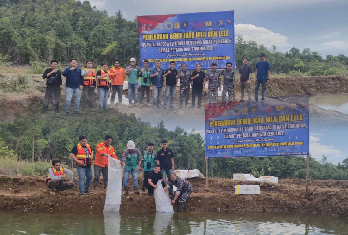 Sinergi TNI AL dan Pemda Morut: 51 Ribu Benih Ikan Ditebar Dukung Ketahanan Pangan.
