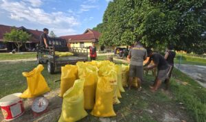 Penyerahan Jagung Hasil Panen Petani Binaan Polsek Mori Atas Personel Polsek Mori Atas menyiapkan karung jagung hasil panen petani binaan sebelum diserahkan ke Bulog Cabang Poso.