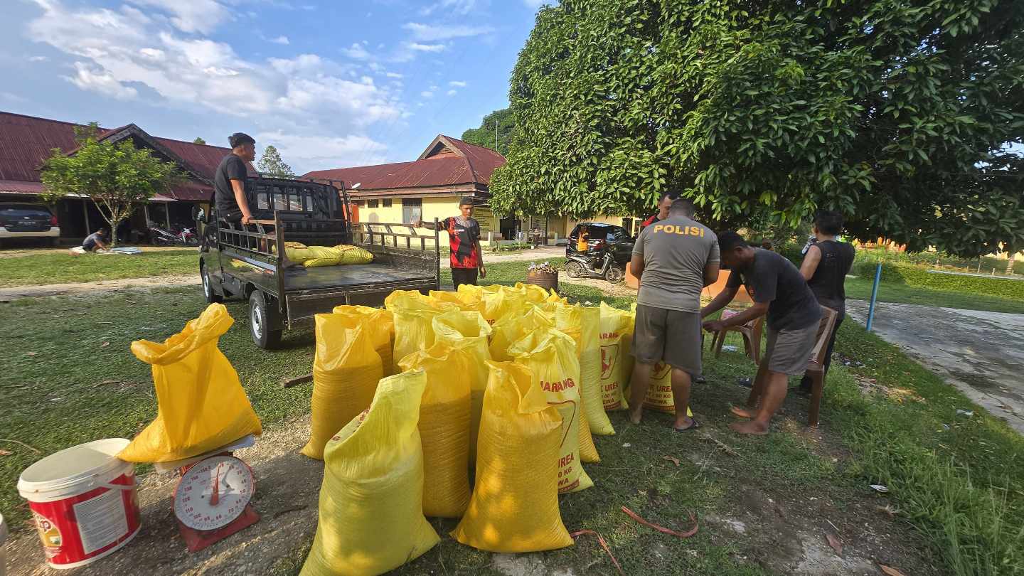 Penyerahan Jagung Hasil Panen Petani Binaan Polsek Mori Atas Personel Polsek Mori Atas menyiapkan karung jagung hasil panen petani binaan sebelum diserahkan ke Bulog Cabang Poso.